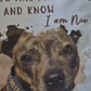 Personalised Pet Lovers memory Gift Cushion with Quote